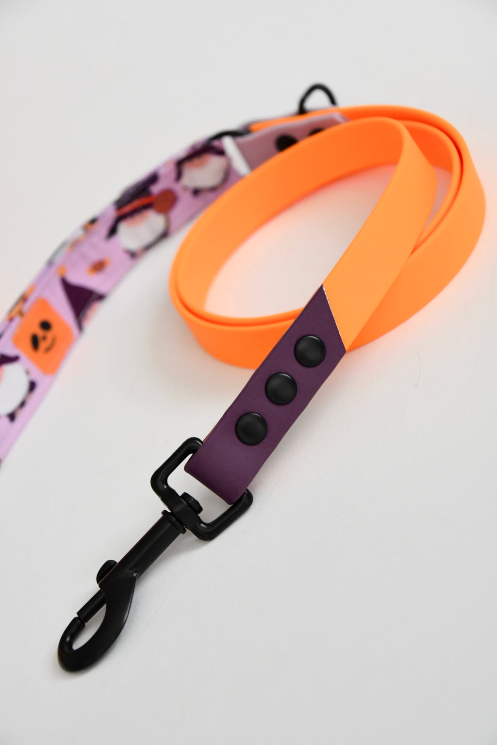 THE LITTLE SPOOKS biothane leash