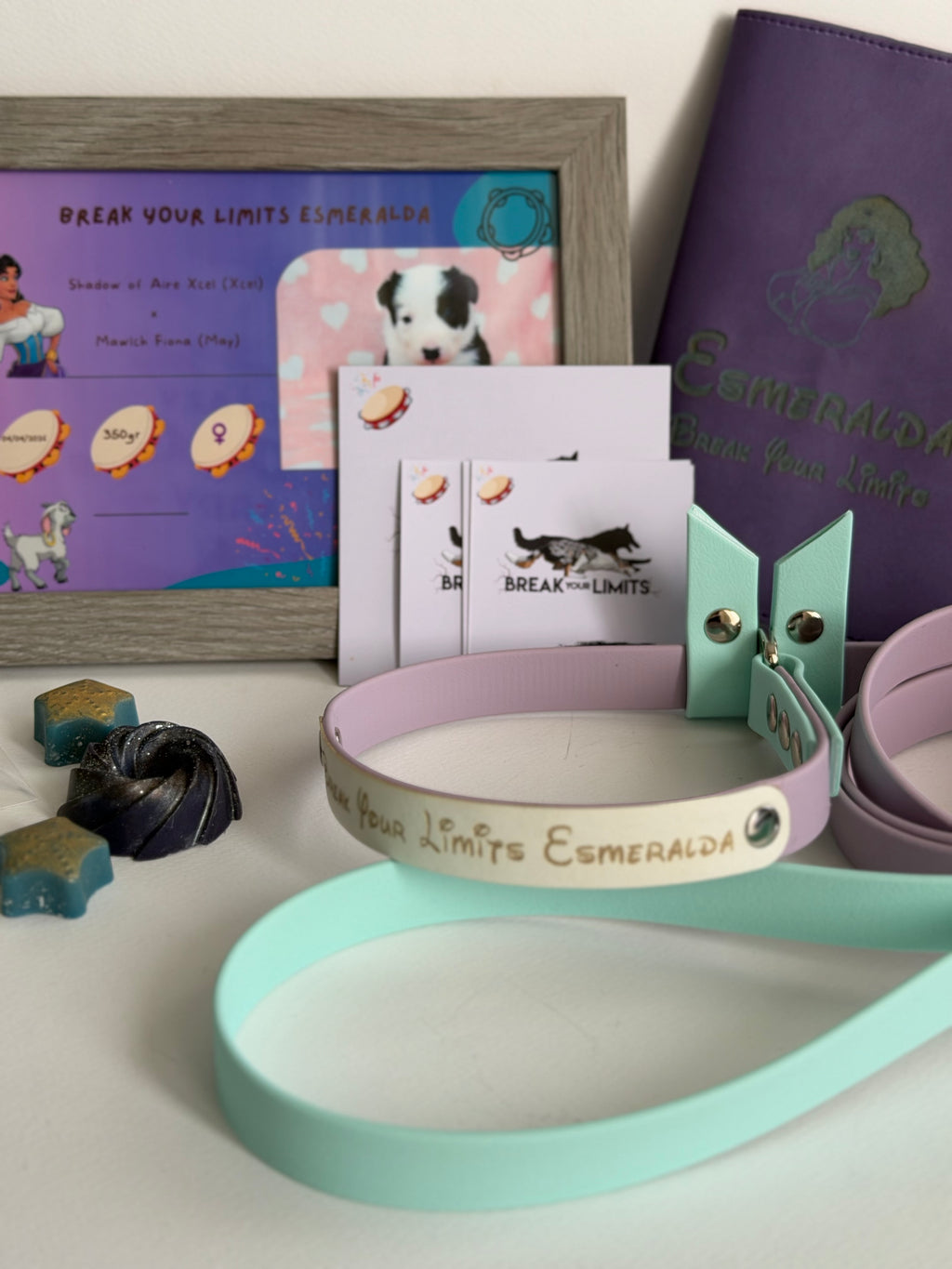 PUPPY KIT (premium)