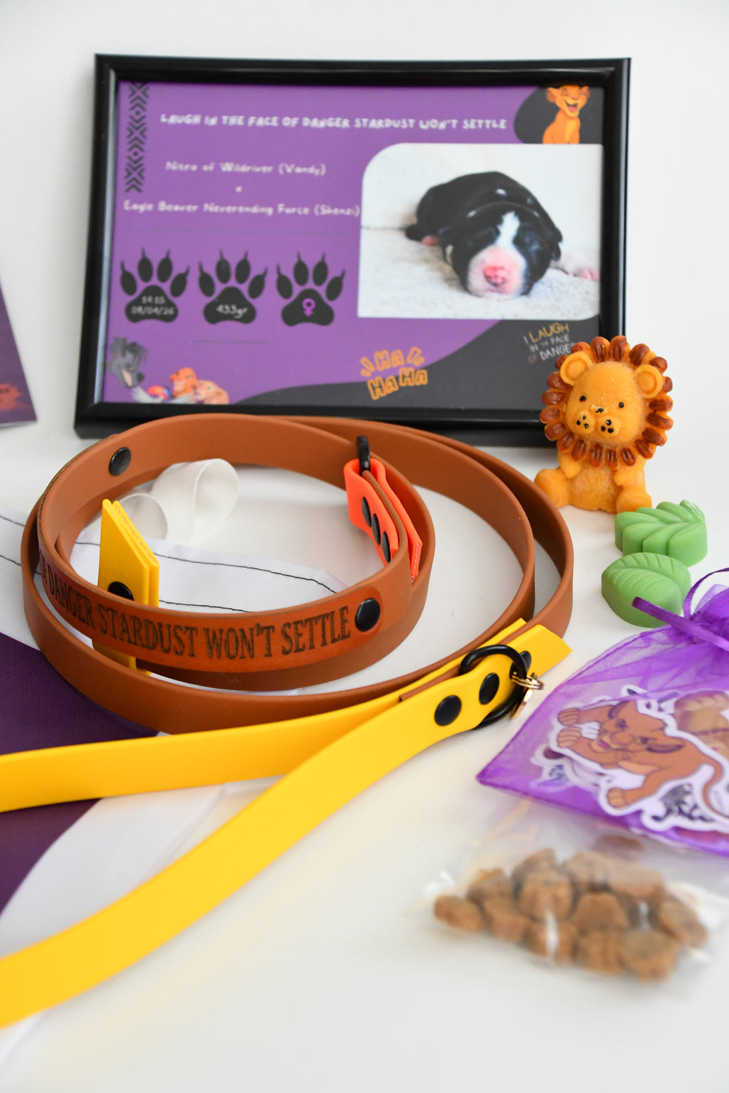 PUPPY KIT (simple)