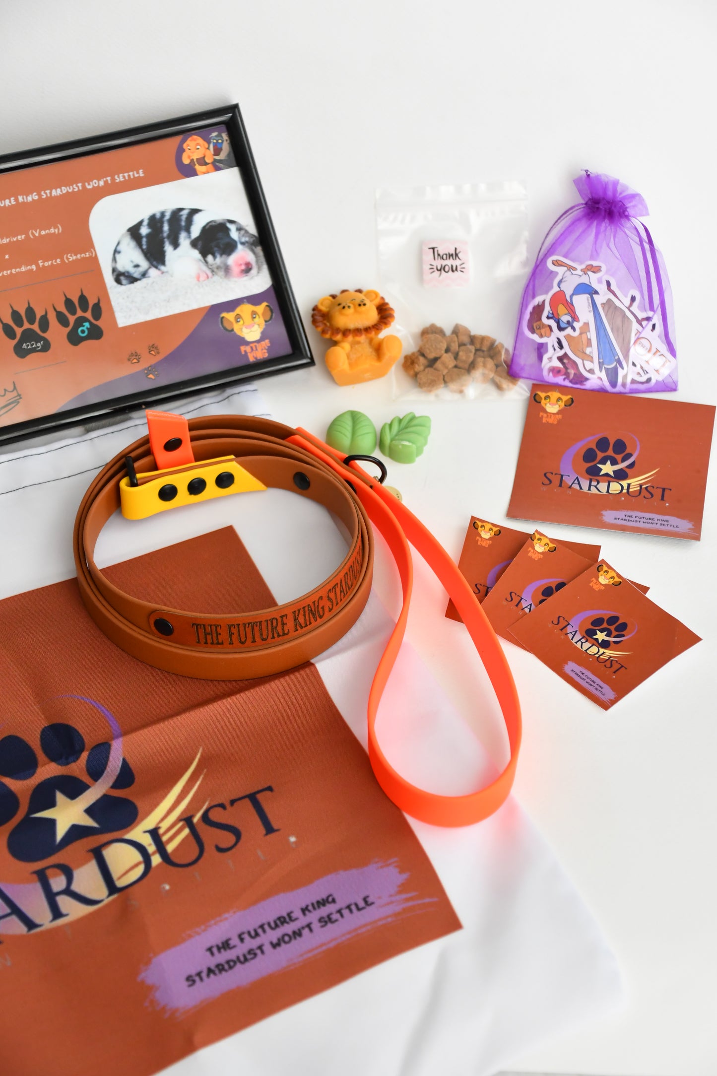 PUPPY KIT (simple)