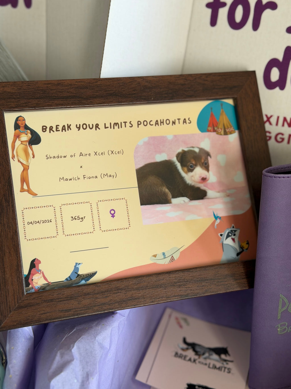 PUPPY KIT (premium)