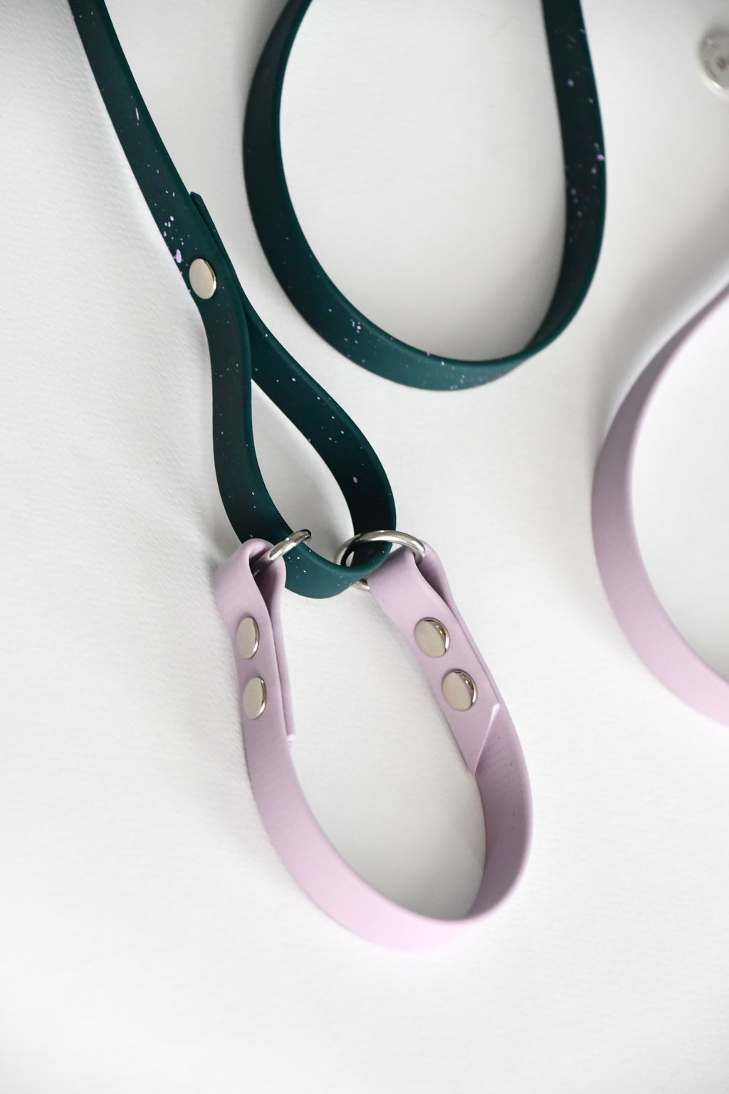 SLIP LEAD 2.0 FERI DUST forest green and lilac
