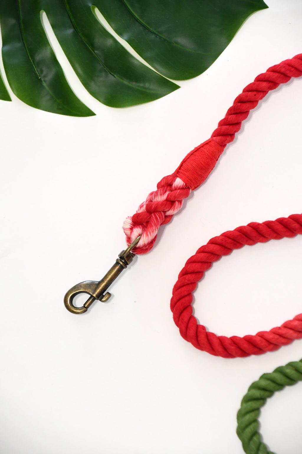 THE BAHAMAS leash