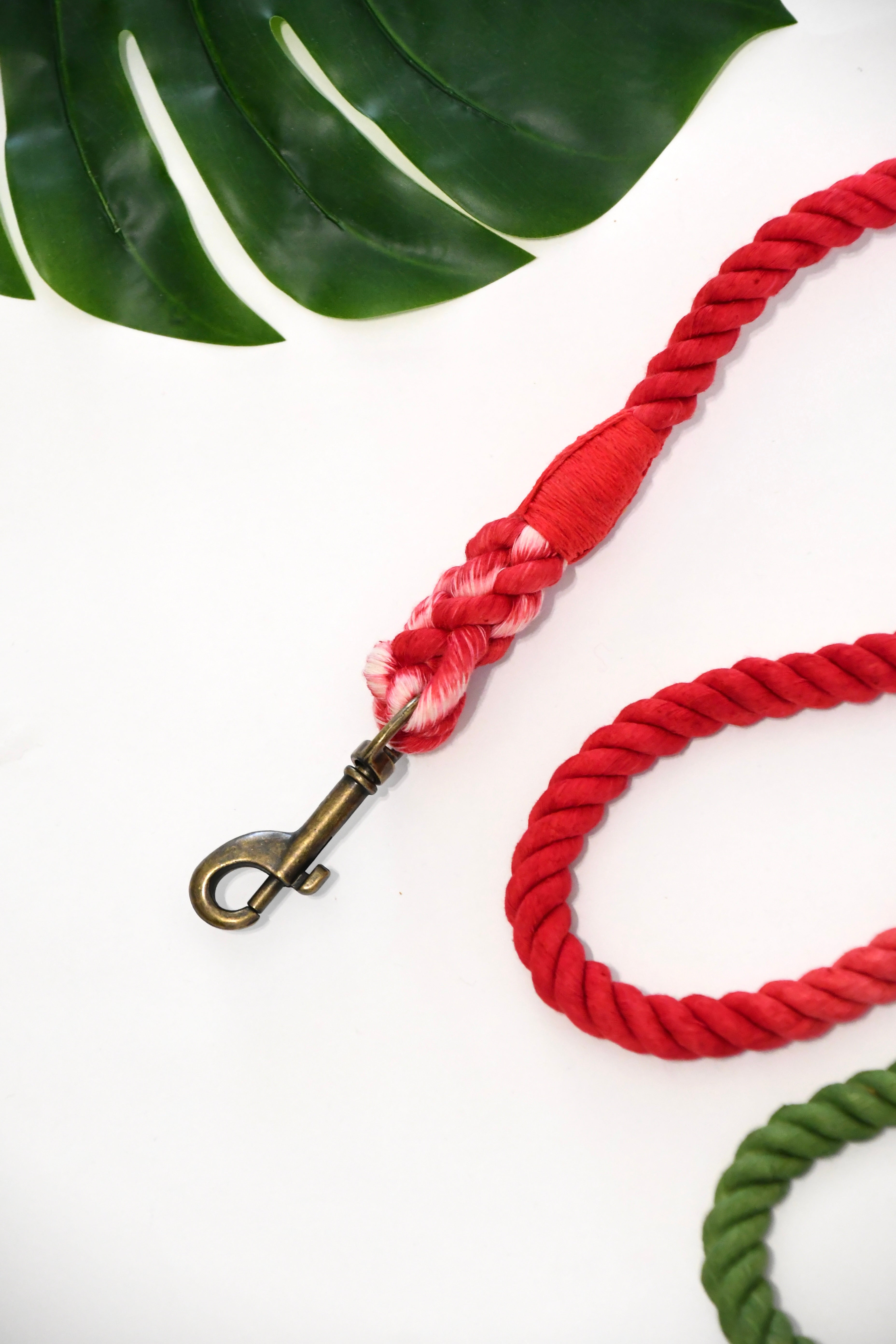THE BAHAMAS leash