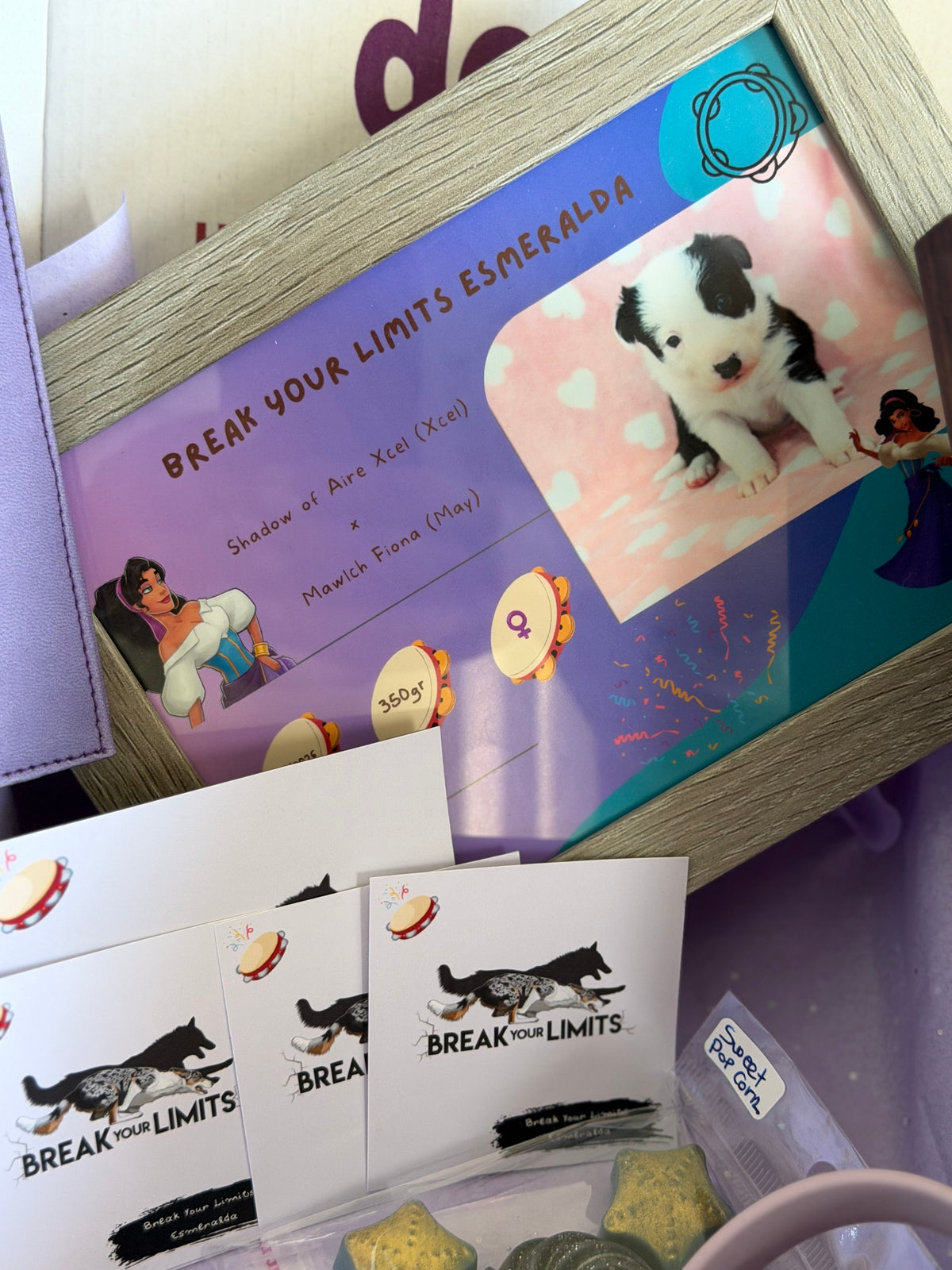 PUPPY KIT (premium)
