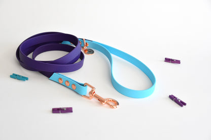 PURPLE SKY biothane leash