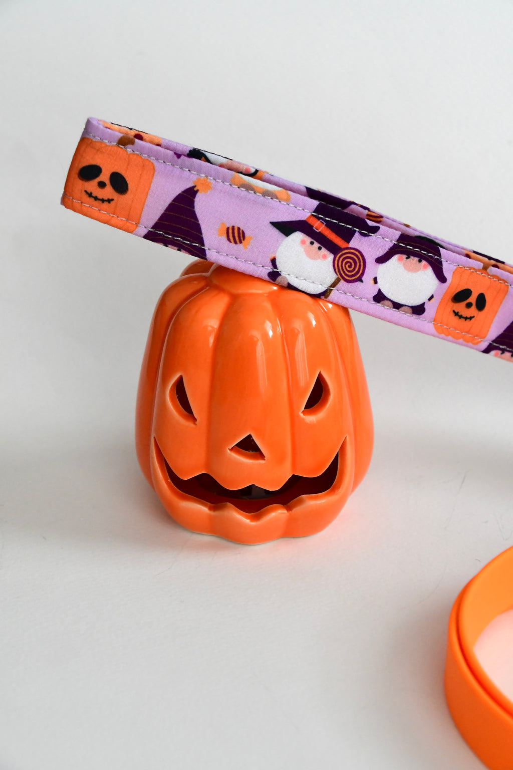 THE LITTLE SPOOKS biothane leash