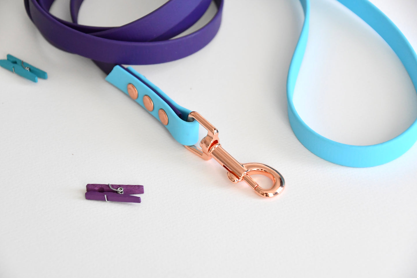 PURPLE SKY biothane leash