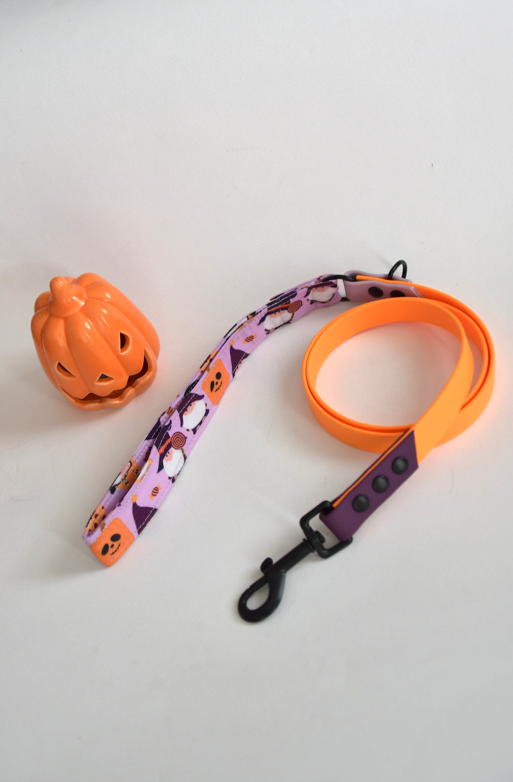 THE LITTLE SPOOKS biothane leash