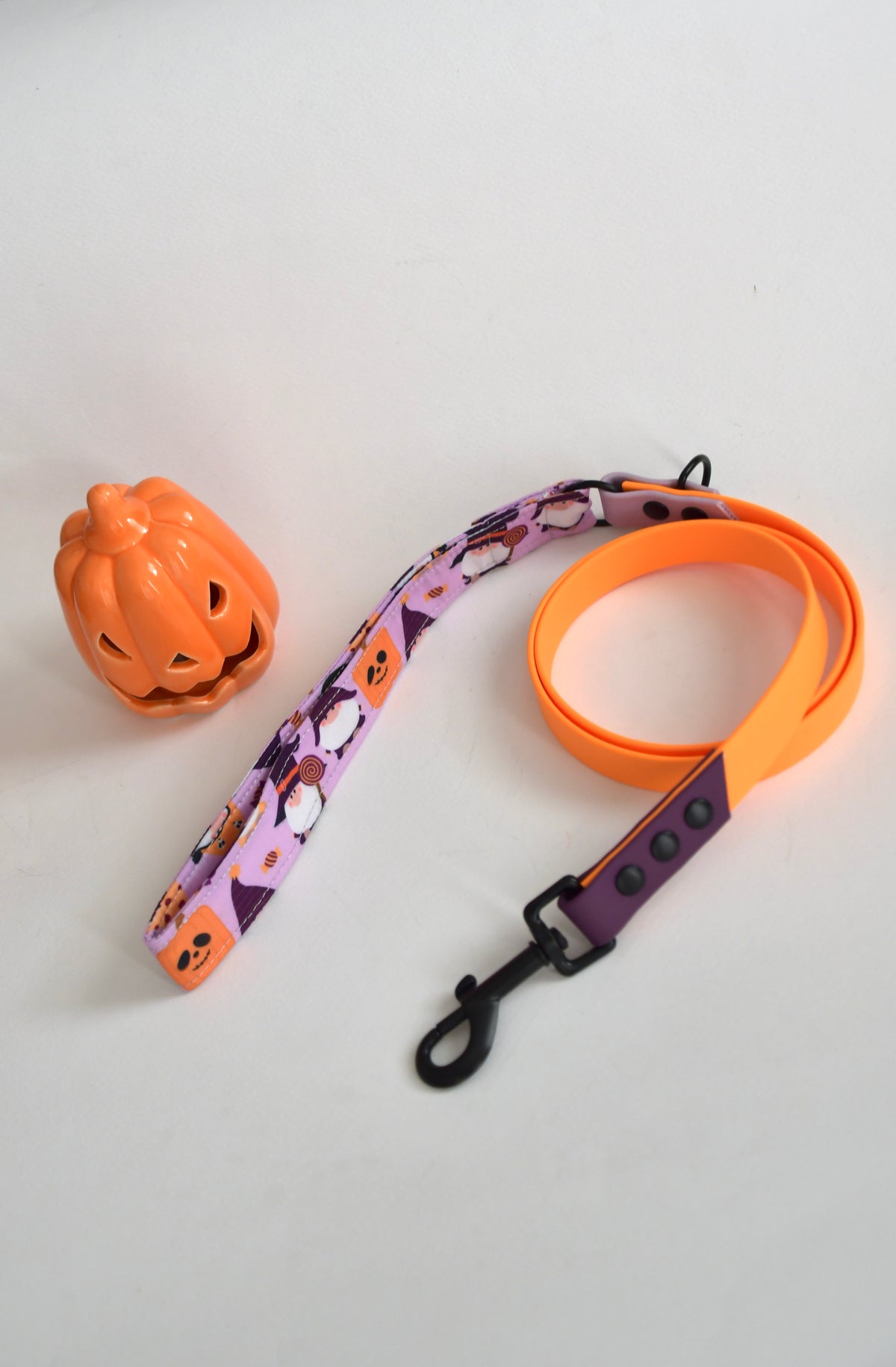 THE LITTLE SPOOKS biothane leash