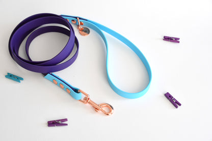 PURPLE SKY biothane leash