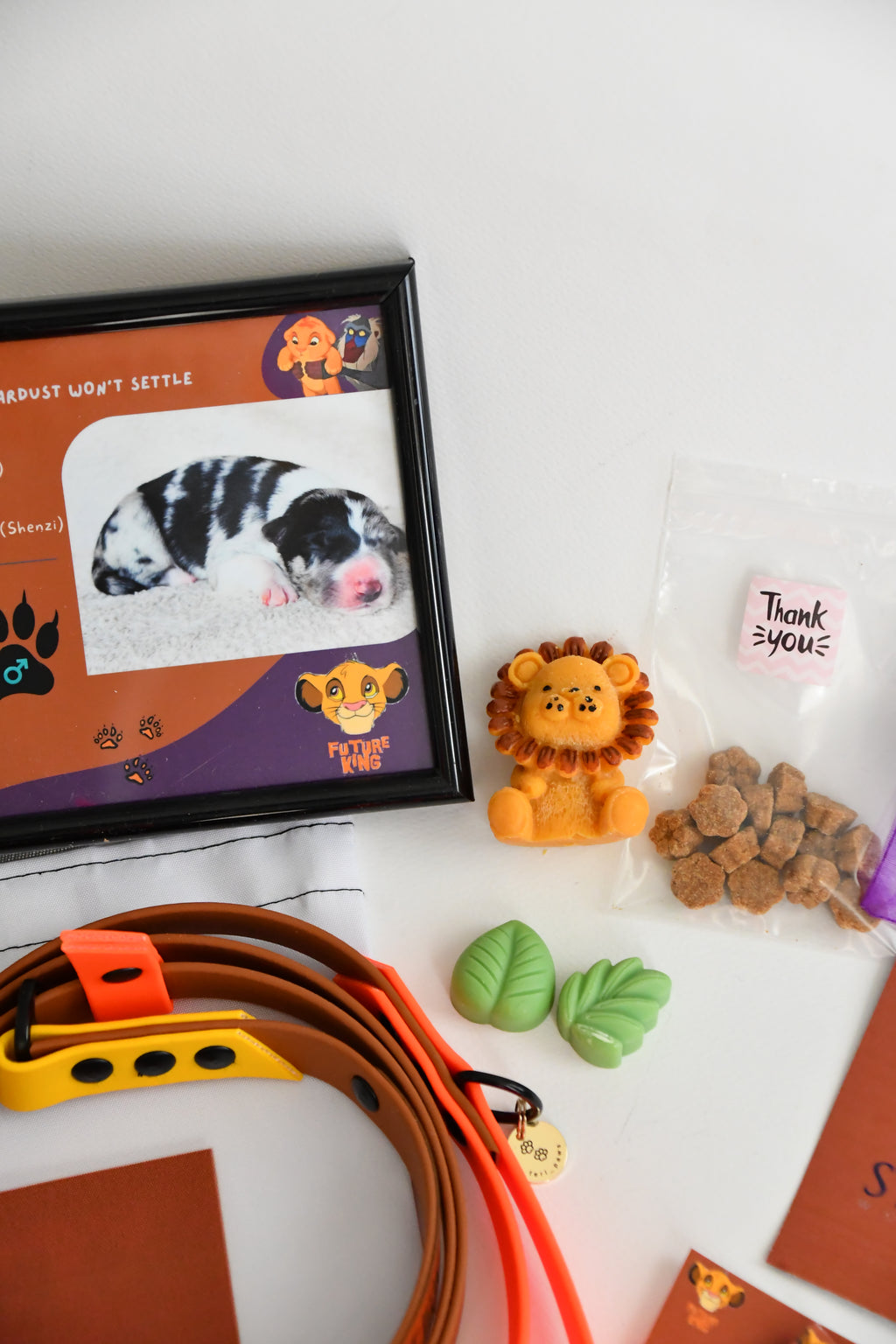 PUPPY KIT (simple)