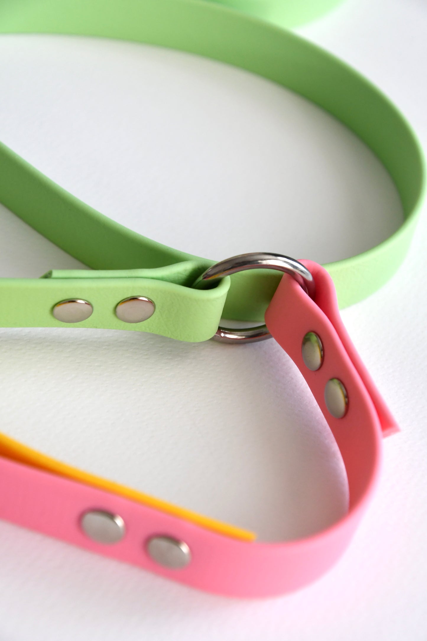 BUTTERFLIES biothane multi leash