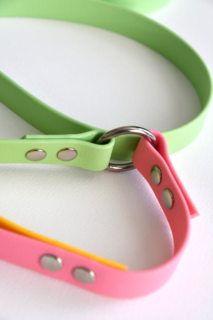 BUTTERFLIES biothane multi leash