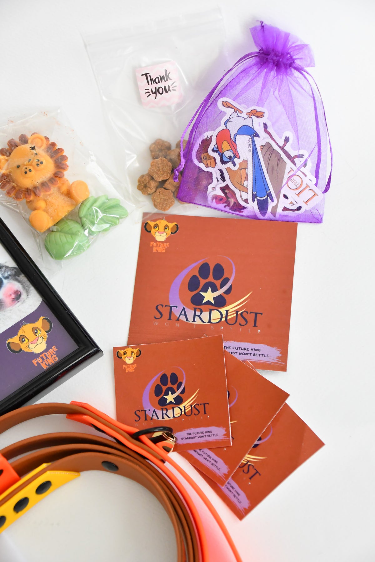 PUPPY KIT (simple)