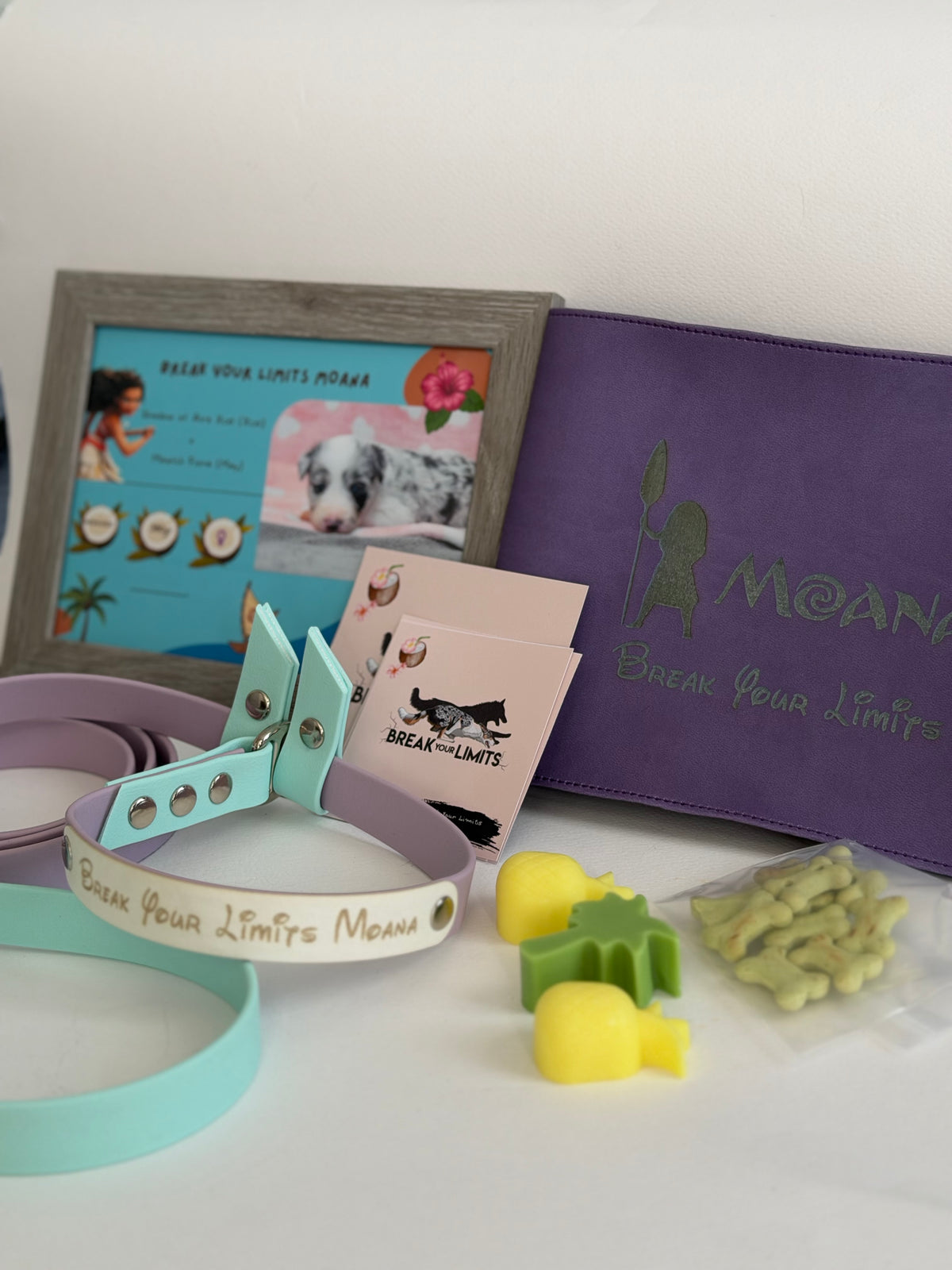 PUPPY KIT (premium)