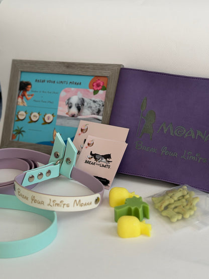 PUPPY KIT (premium)