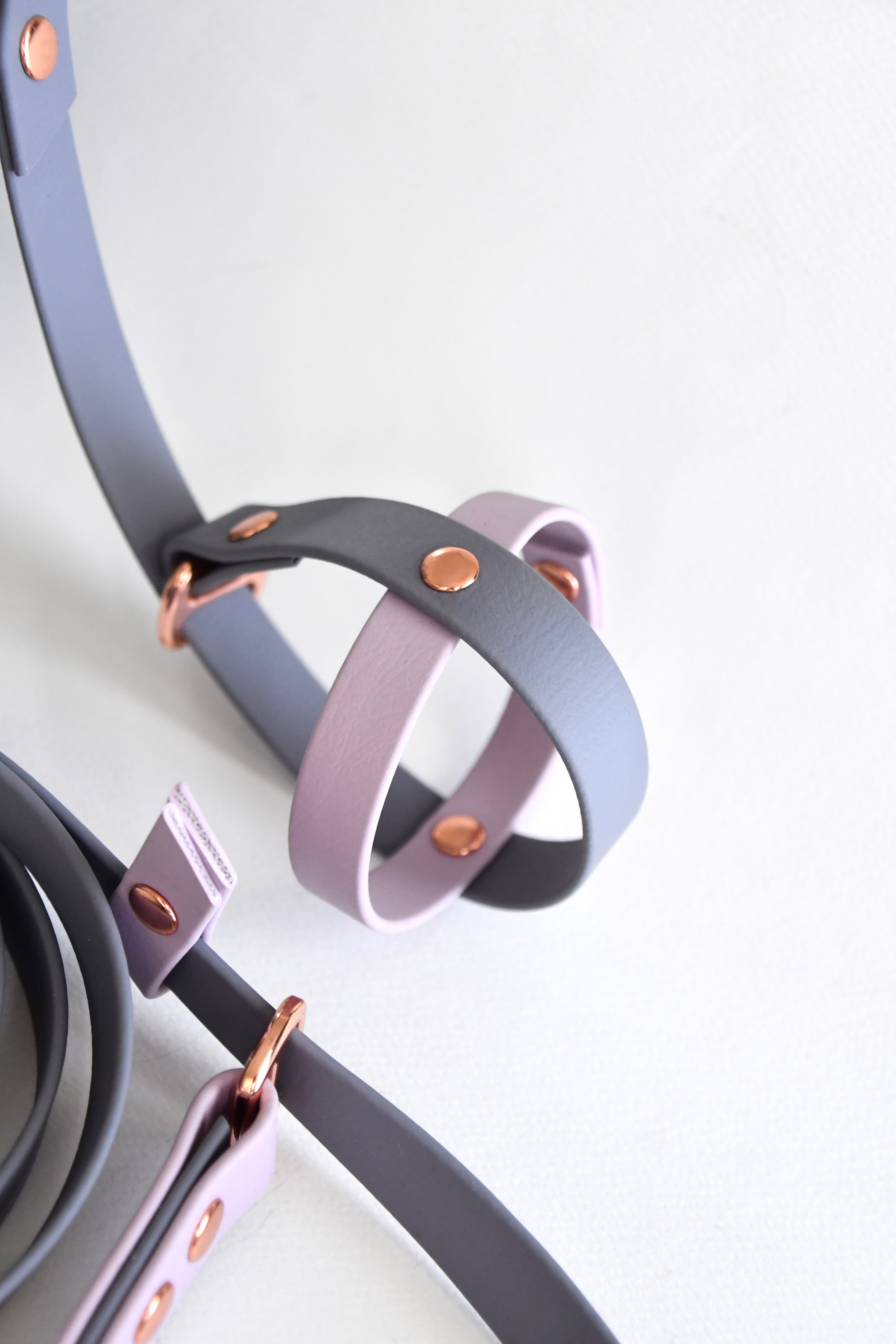 SET SLIP LEAD & BALL HOLDER grey and lilac biothane