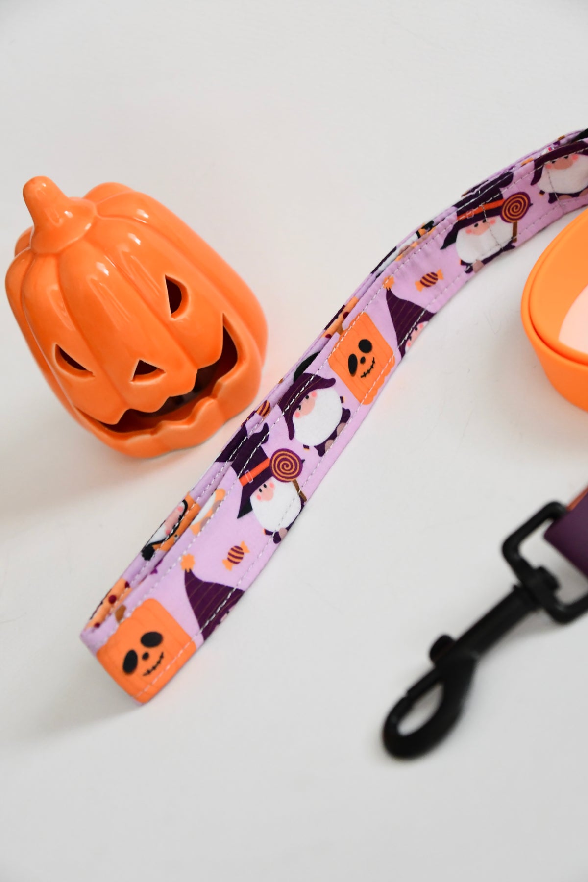 THE LITTLE SPOOKS biothane leash
