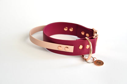 WINE biothane collar with handle