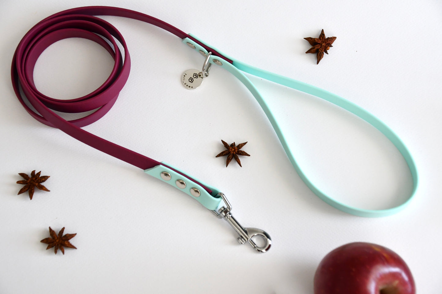 COUNTRY APPLE biothane leash