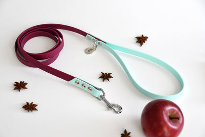 COUNTRY APPLE biothane leash