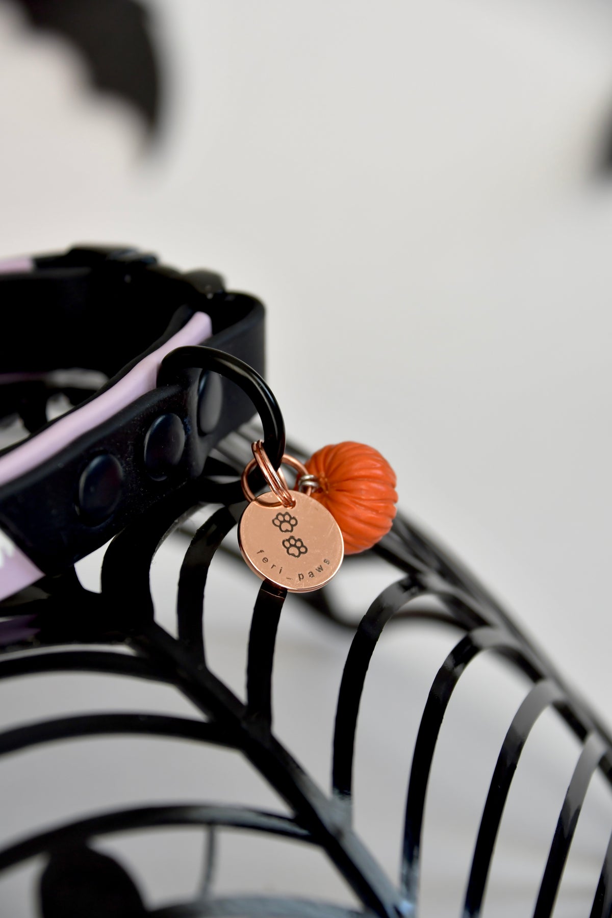 CREEPY PUMPKIN collar