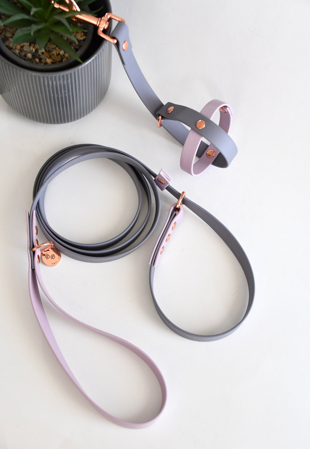 SET SLIP LEAD & BALL HOLDER grey and lilac biothane