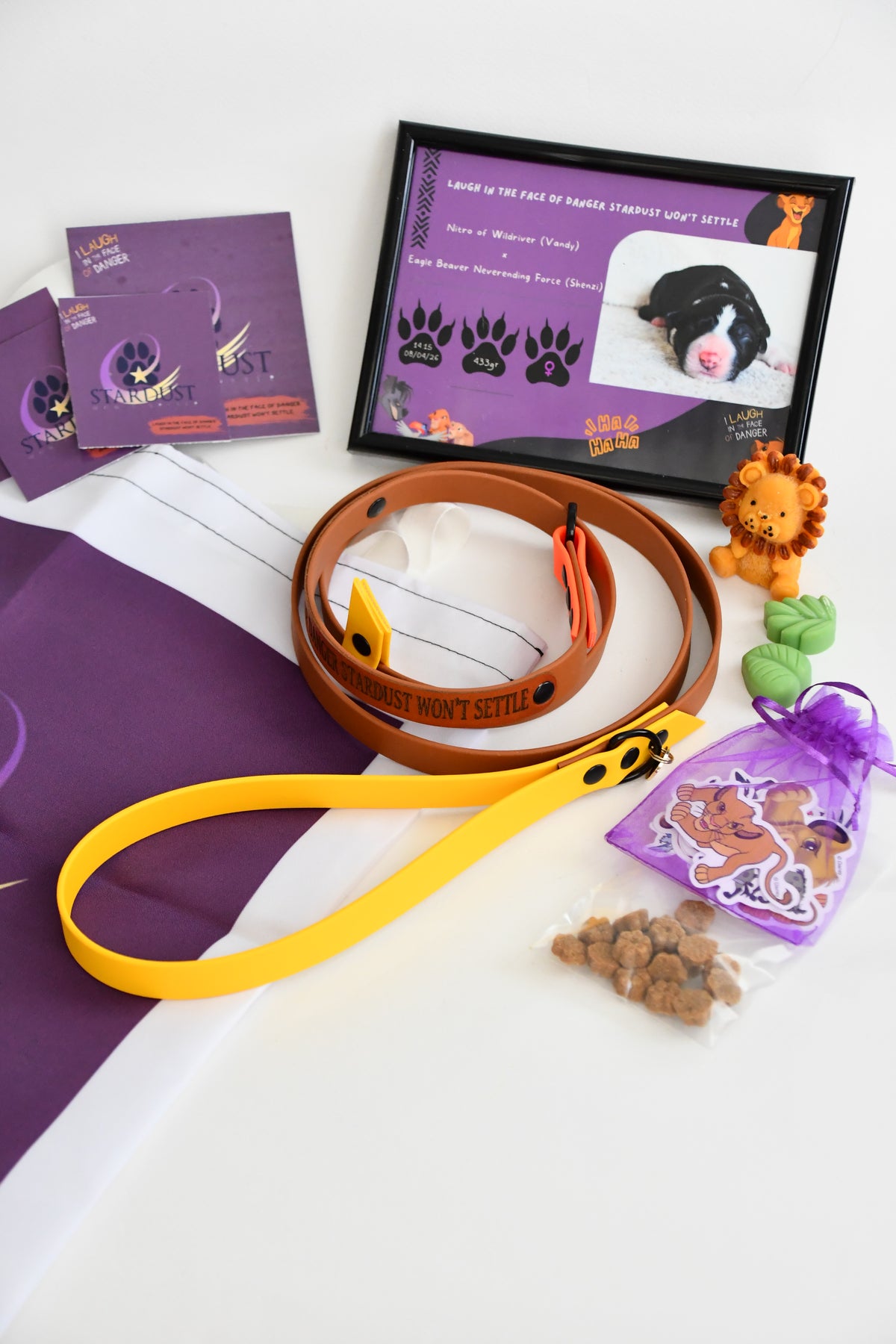 PUPPY KIT (simple)