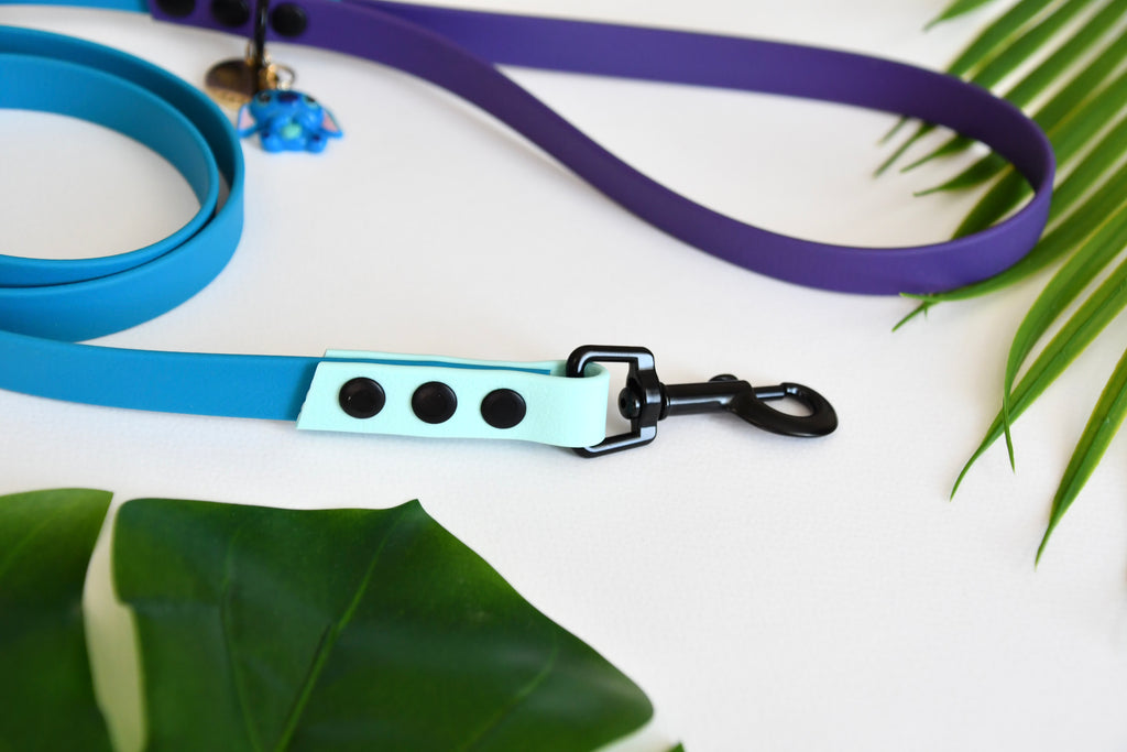 ALOHA biothane leash