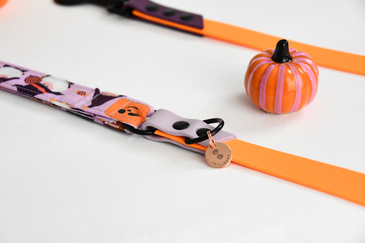 THE LITTLE SPOOKS biothane leash