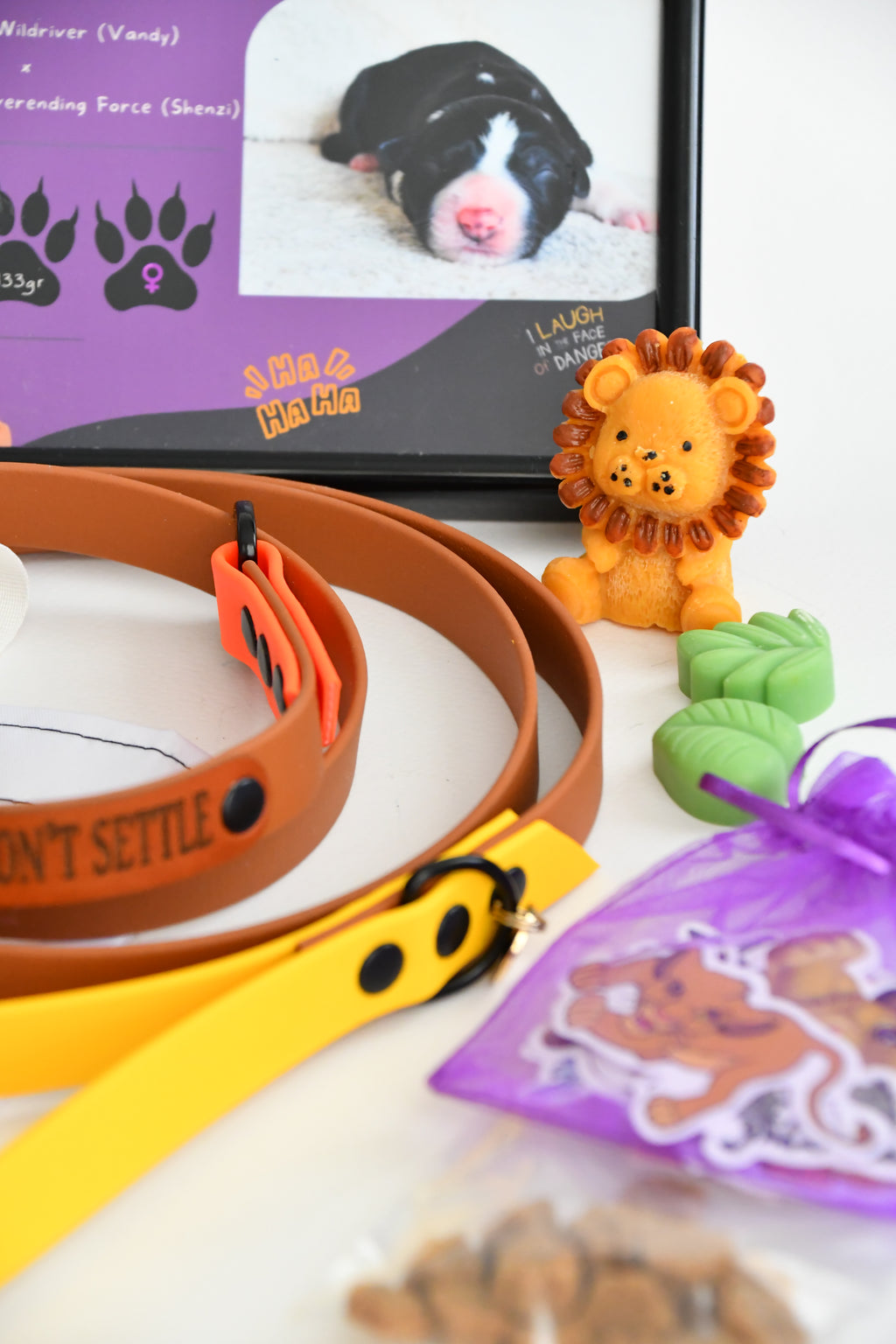 PUPPY KIT (simple)