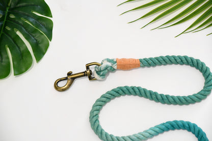 PALM TREE leash