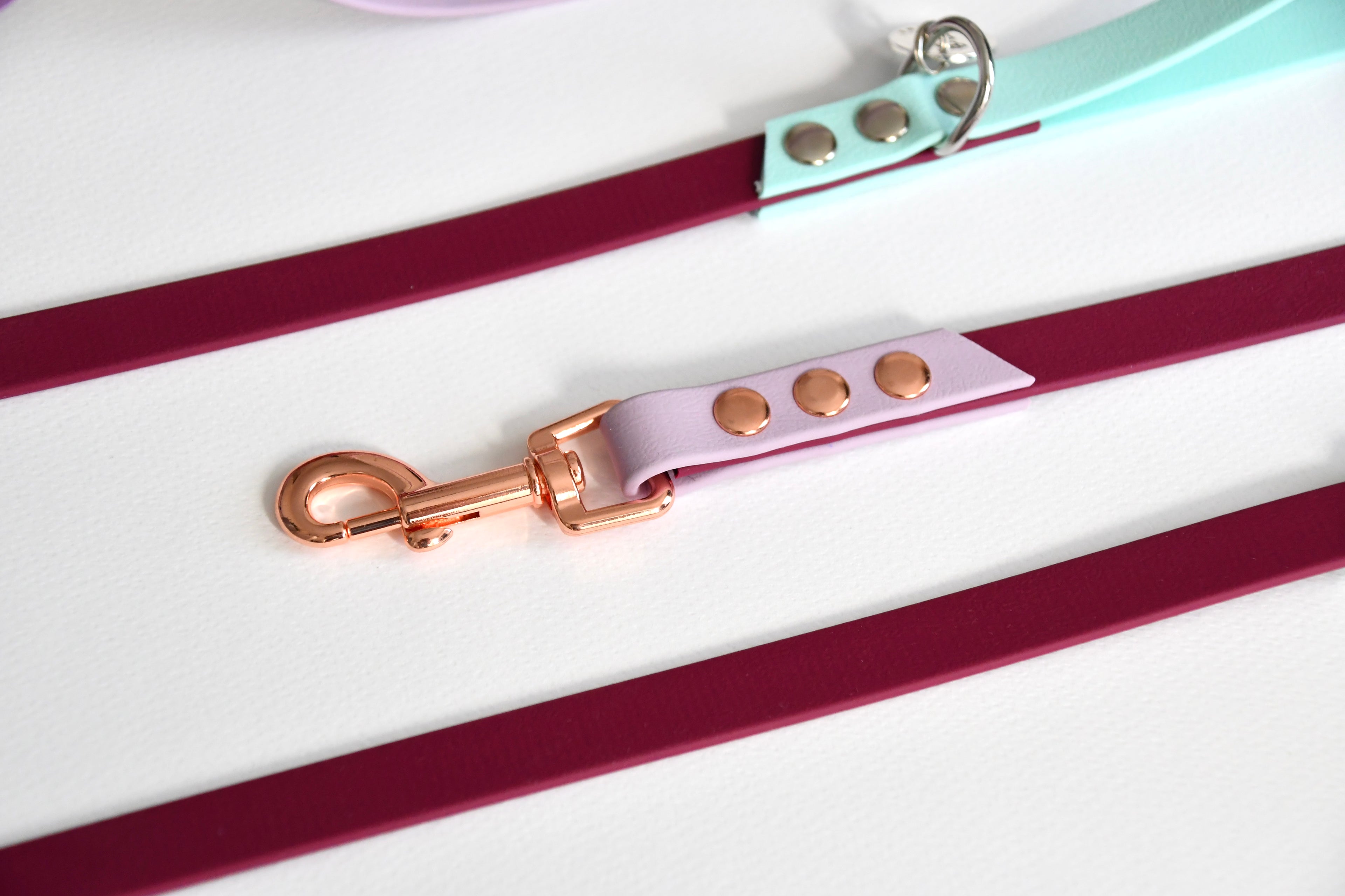 SANGRIA biothane leash