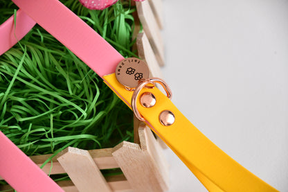 PLUMERIA biothane leash