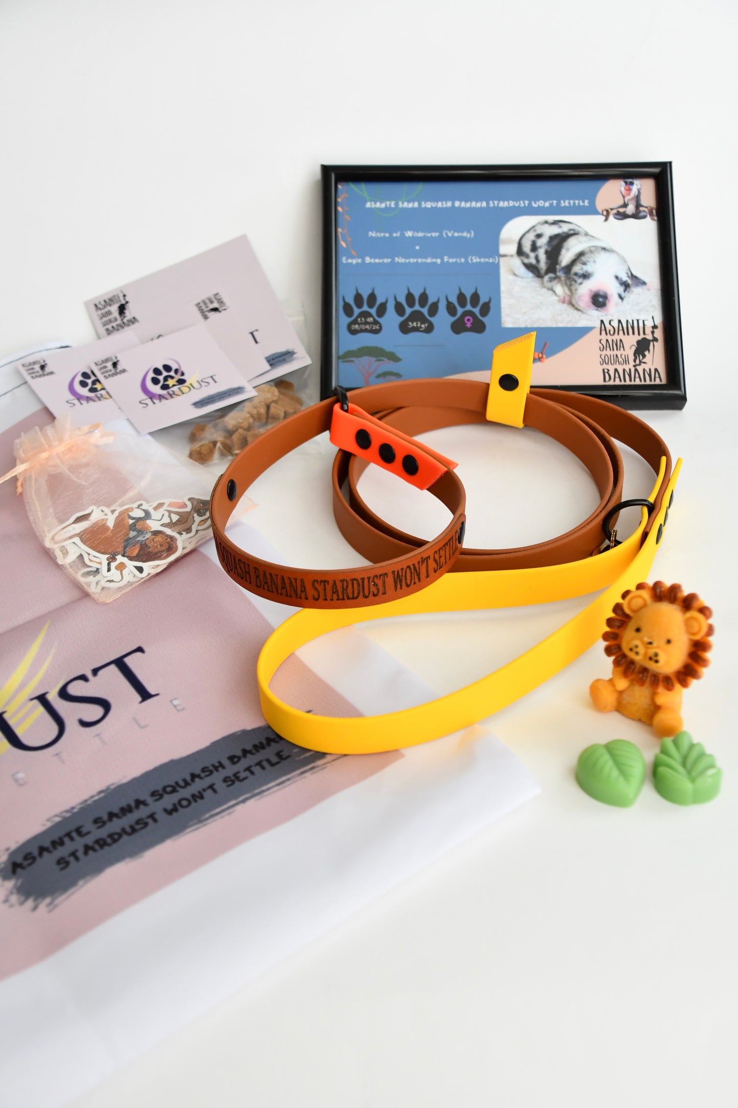 PUPPY KIT (simple)