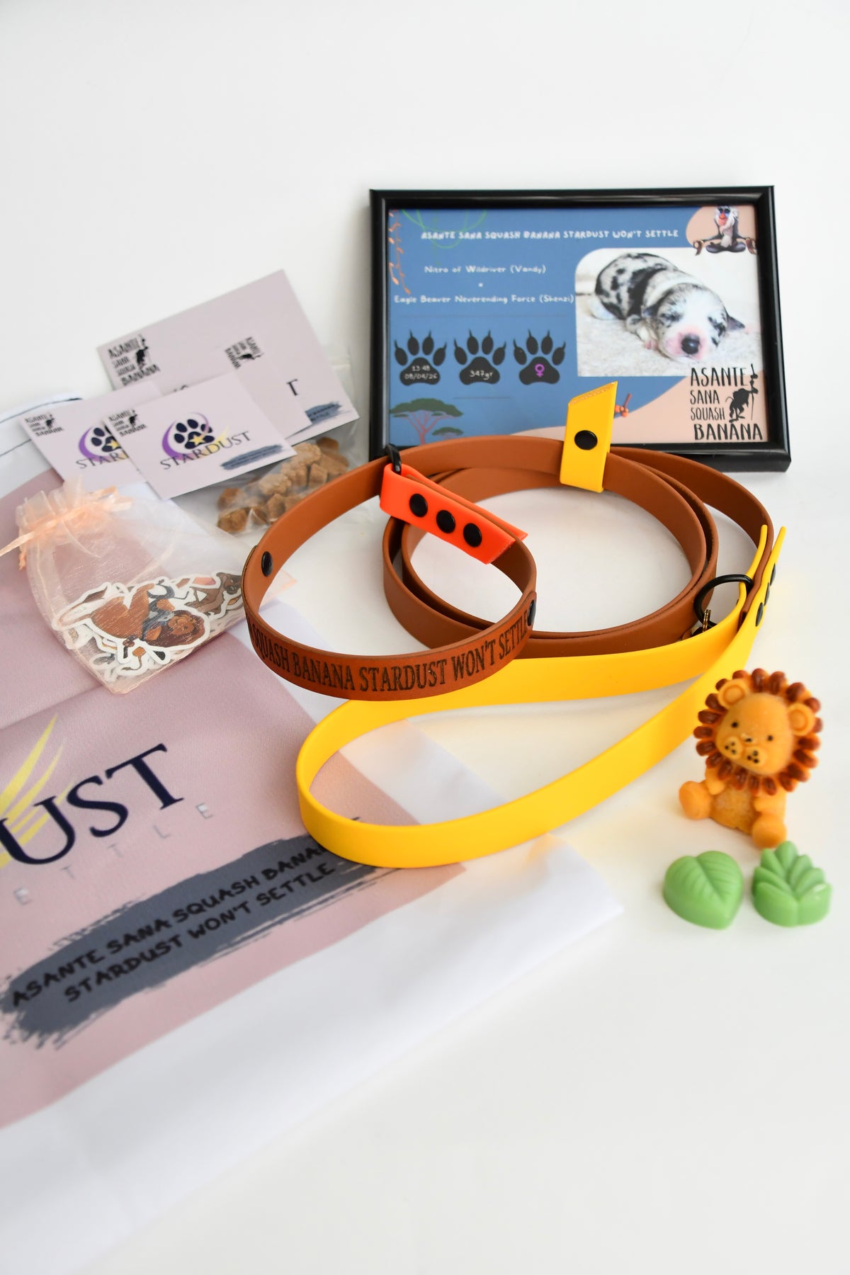 PUPPY KIT (simple)