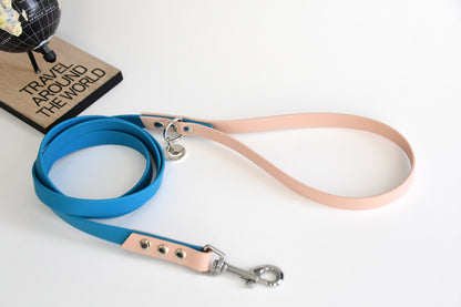 SHELLED TEAL biothane leash