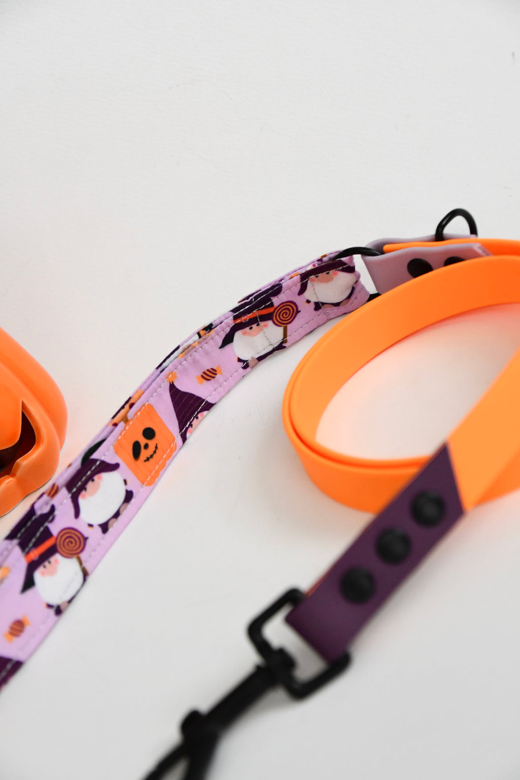 THE LITTLE SPOOKS biothane leash