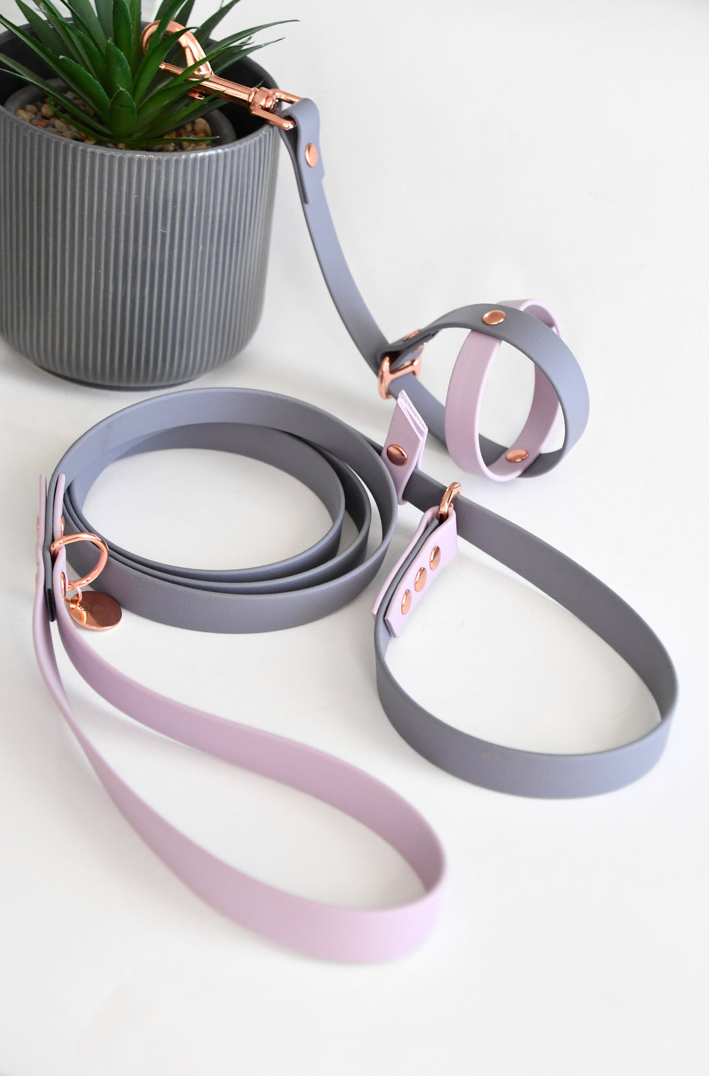 SET SLIP LEAD & BALL HOLDER grey and lilac biothane