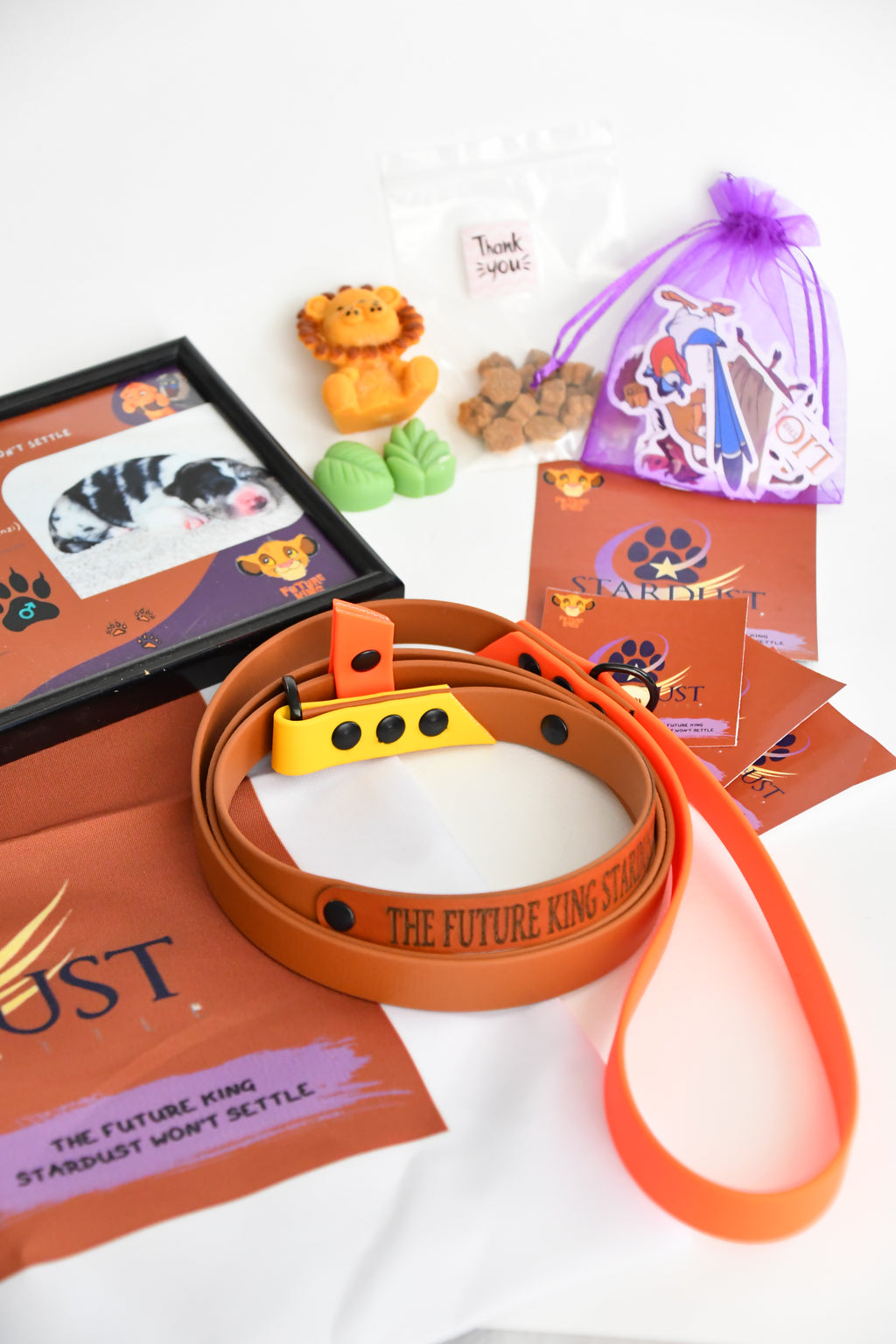 PUPPY KIT (simple)