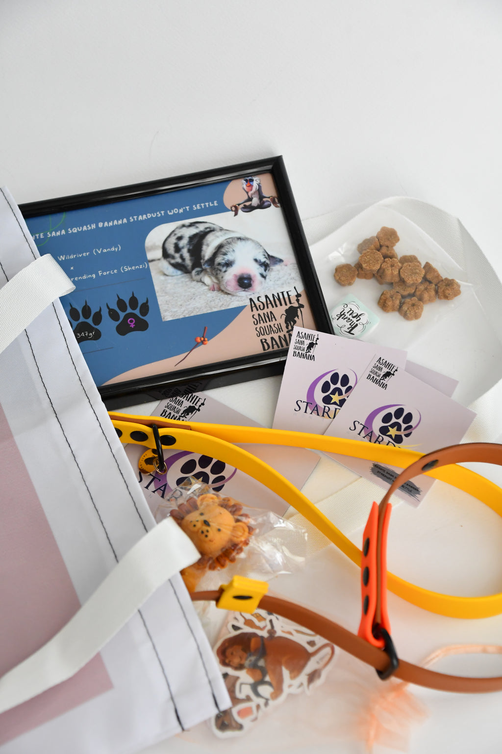 PUPPY KIT (simple)