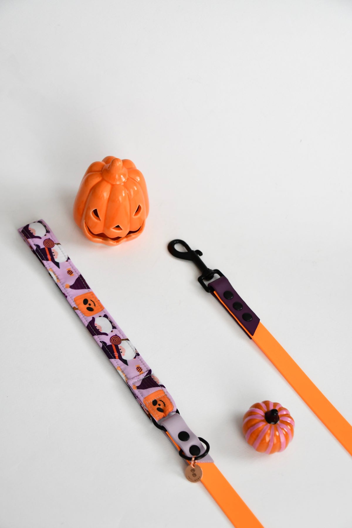 THE LITTLE SPOOKS biothane leash