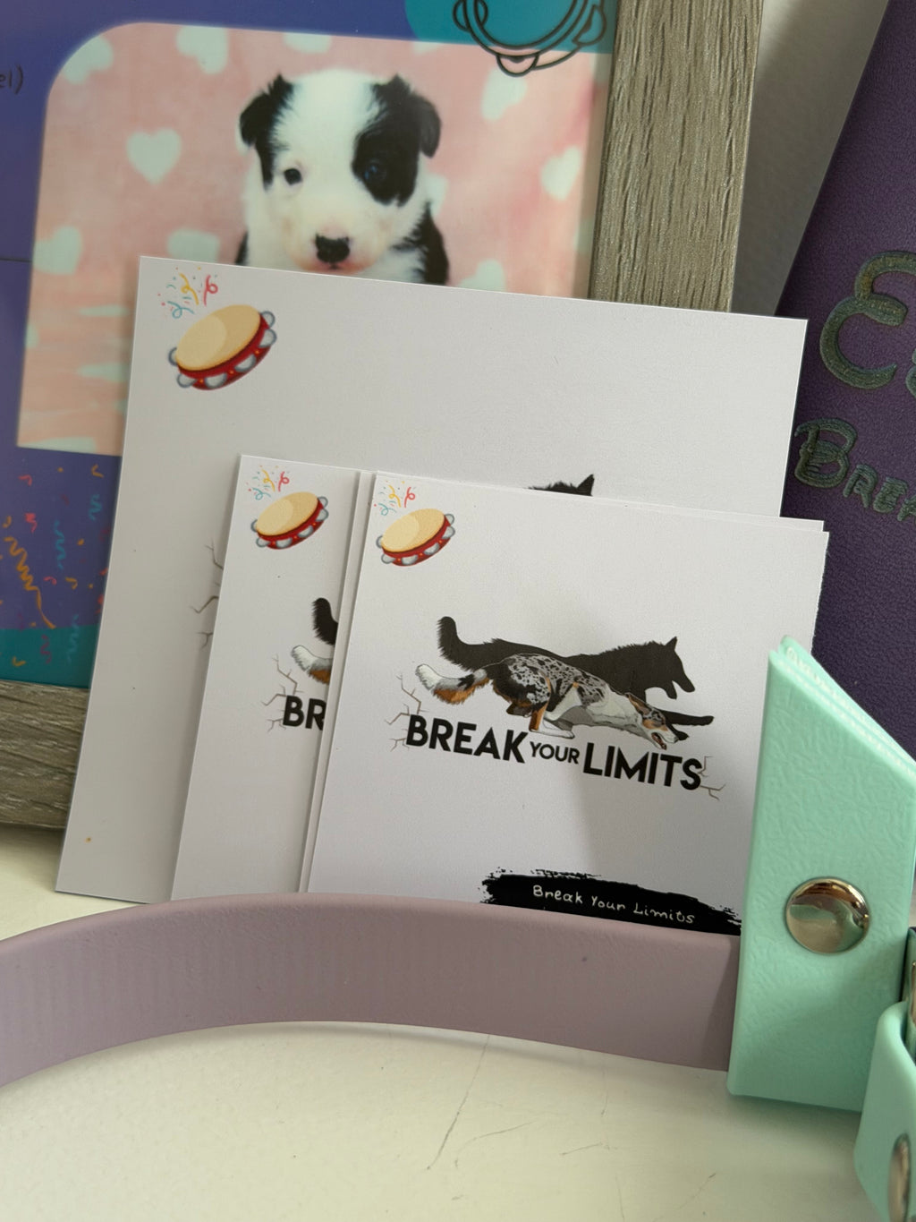 PUPPY KIT (premium)