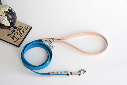 SHELLED TEAL biothane leash