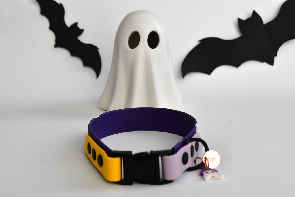 SORRY BUT BOO collar