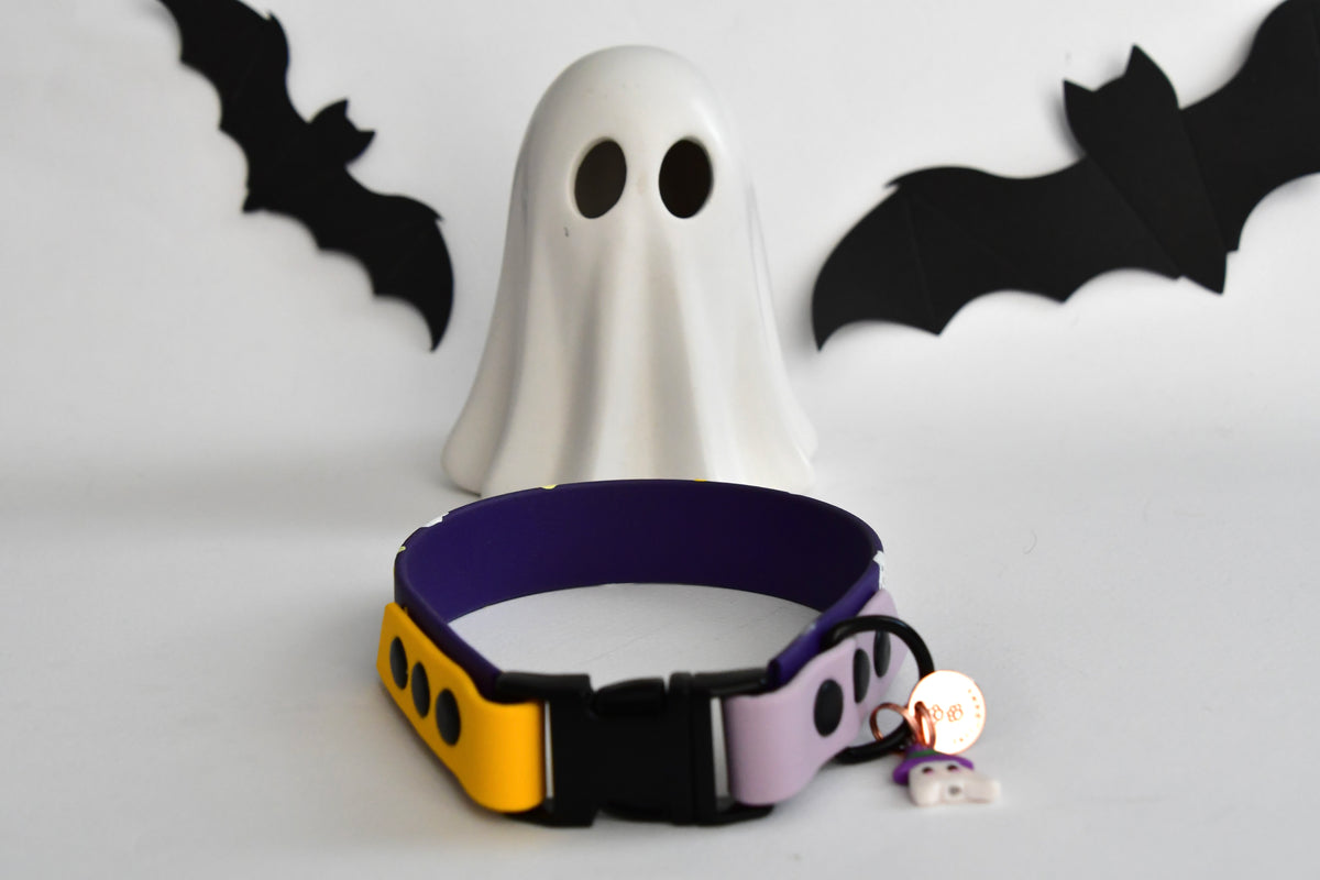 SORRY BUT BOO collar