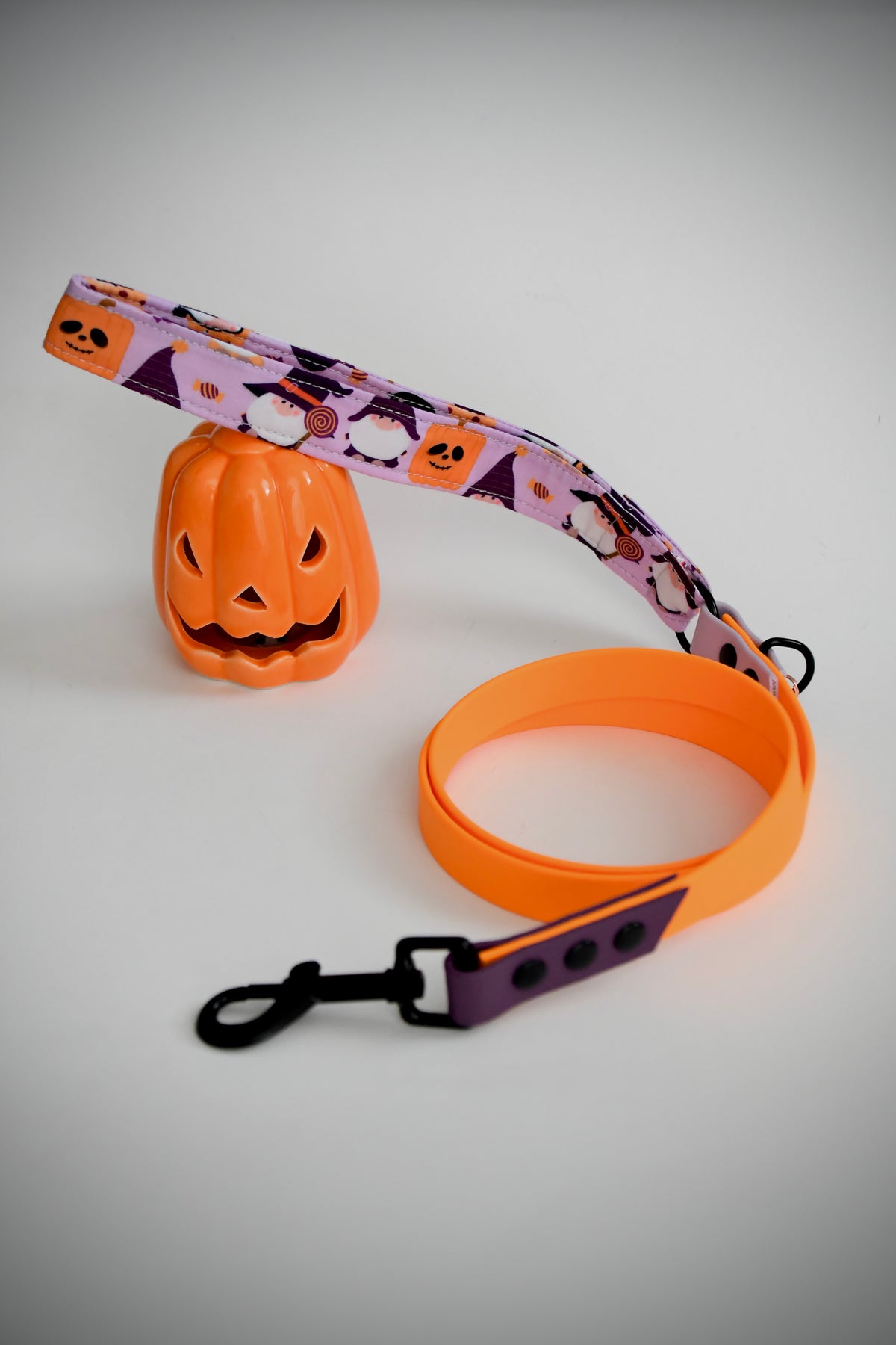 THE LITTLE SPOOKS biothane leash