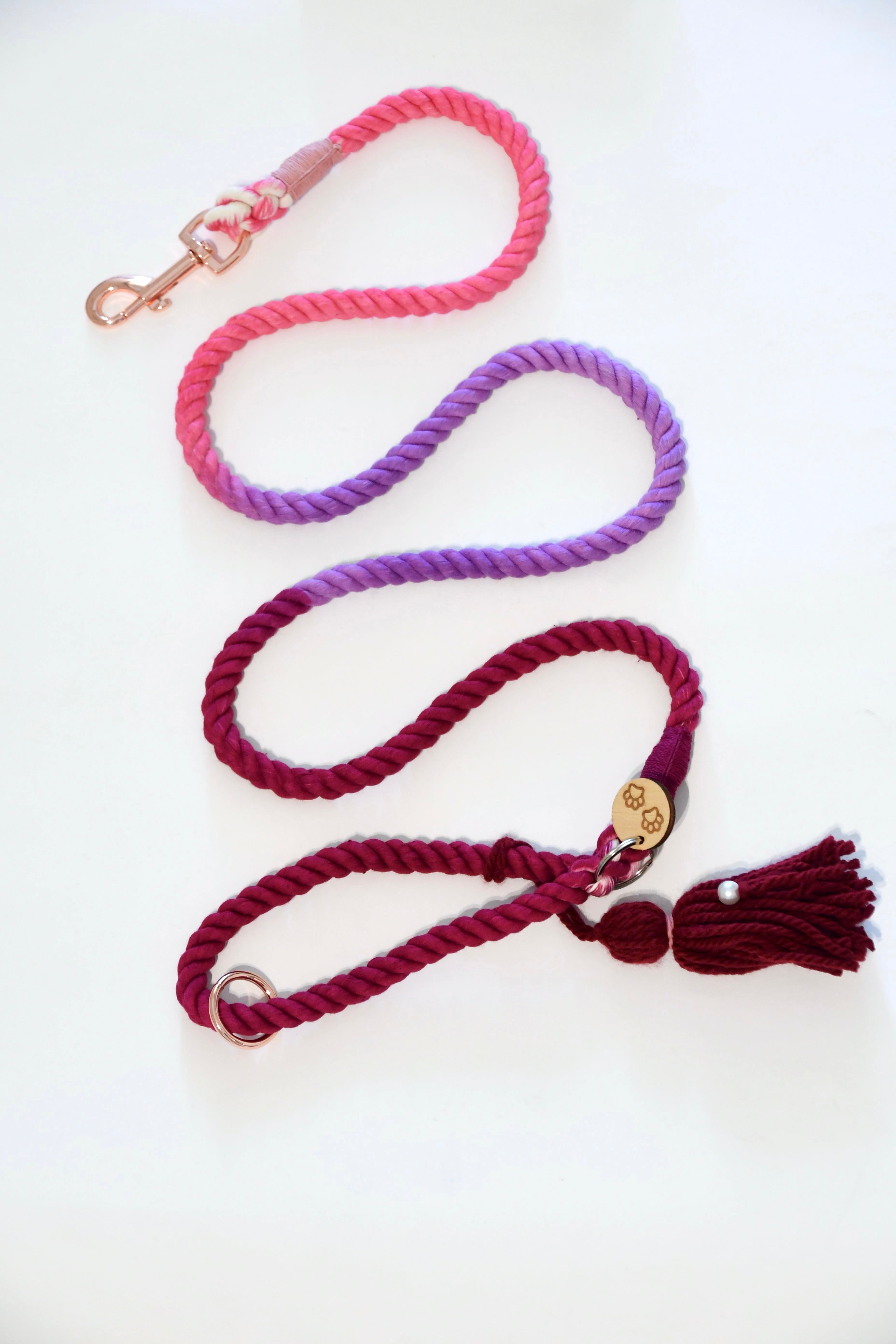 OMBRE PAW LOVE leash