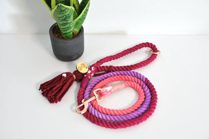 OMBRE PAW LOVE leash